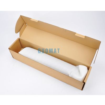 Air Spring Strut Rnb000740 delantero derecho para el Range Rover L322, Mk-III, Vogue 2003-2005