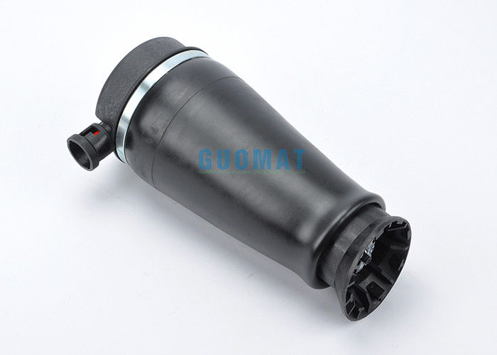 Ford Expedition 3U2Z-5580-KA Suspensión aérea trasera Primavera 1997-2002 Lincoln Navigator