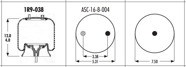 amortiguación de aire con resorte Flexmember 566-18-3-101 de 1R9-038 Goodyear para GMC 2021085